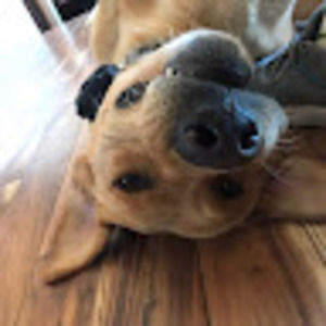 Meet your Posher, Ryan